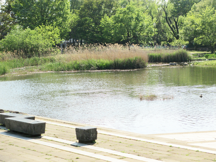 清瀬金山緑地公園