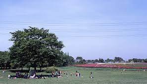 小金井公園