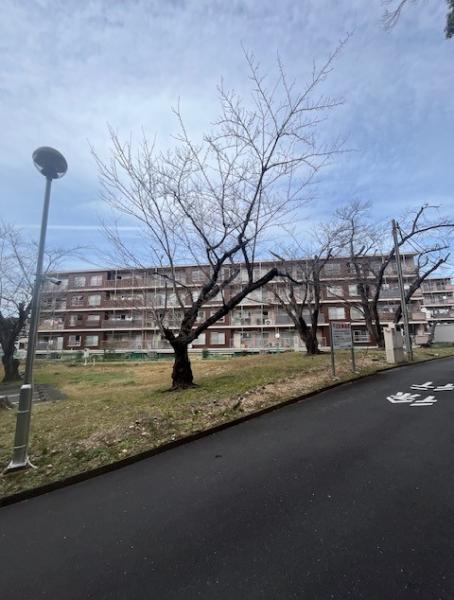 中古マンション 名古屋市緑区鳴海町字乙子山 名鉄名古屋本線鳴海駅 250万円