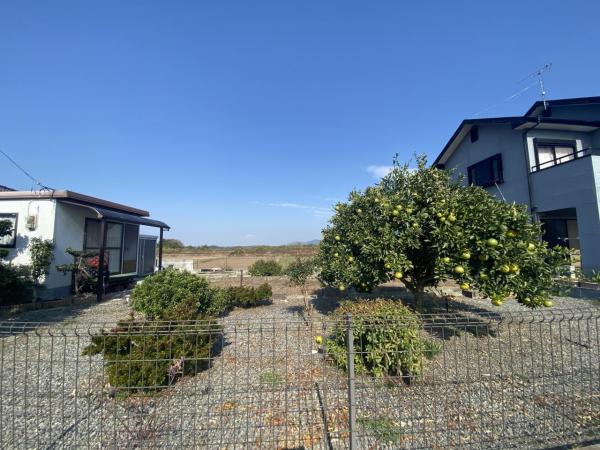 玉名市岱明町大野下 現地土地写真 