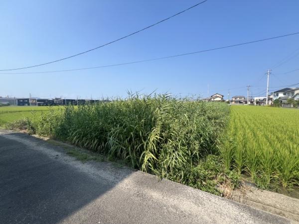土地 今治市土橋町2丁目 JR予讃線伊予富田駅 80万円