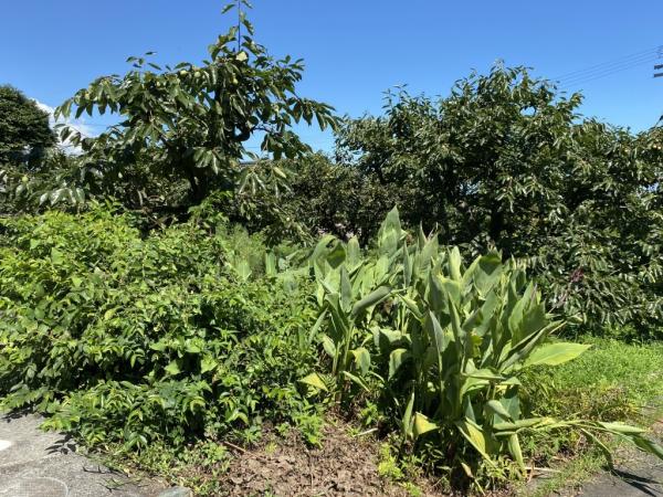 中古戸建 西条市西泉乙154-2 JR予讃線石鎚山駅 999万円