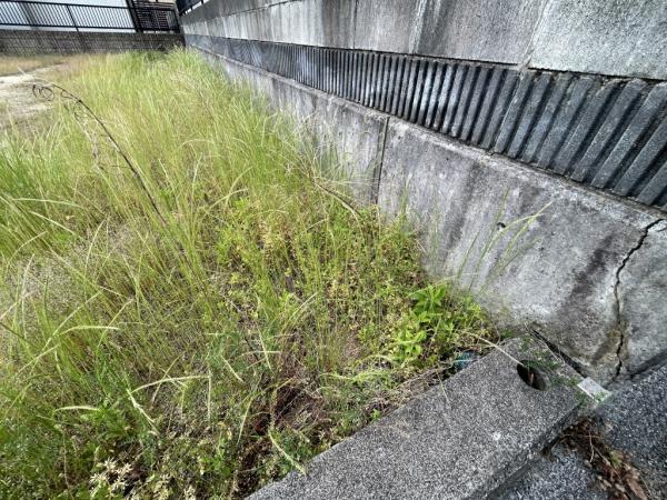 土地 新居浜市坂井町２丁目 JR予讃線新居浜駅 1,230万円