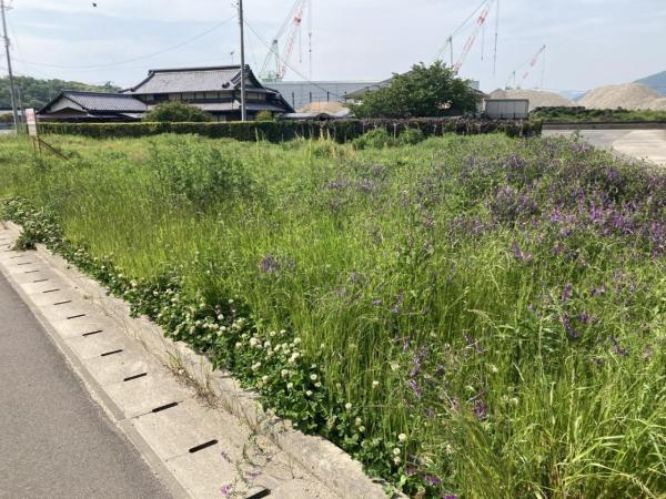 土地 今治市吉海町本庄994-1、995-1 JR予讃線今治駅 430万円