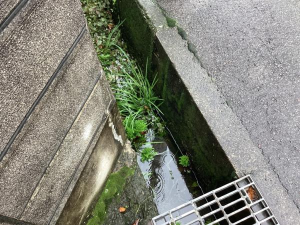 土地 新居浜市繁本町7-41 JR予讃線新居浜駅 1,210万円