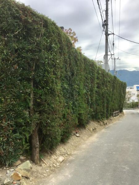 中古戸建 四国中央市川之江町3260-3 JR予讃線川之江駅 4,980万円
