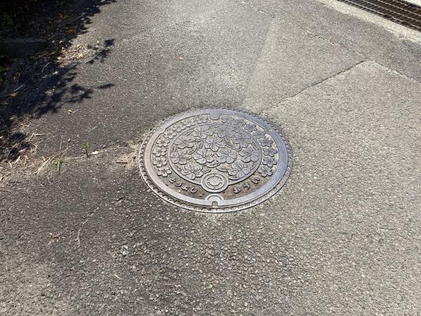 土地 西条市国安 JR予讃線伊予三芳駅 200万円