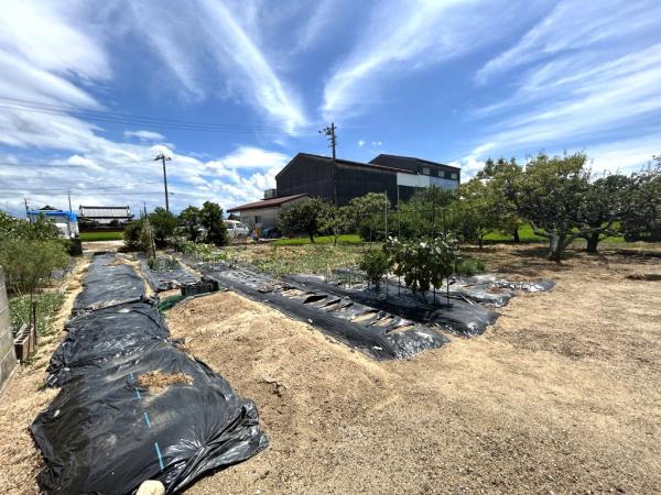 土地 今治市八町西５丁目 JR予讃線伊予富田駅 880万円