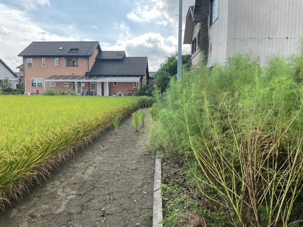 【不動産販売　愛媛総合】11377　土地　西条市石田 その他現地写真 