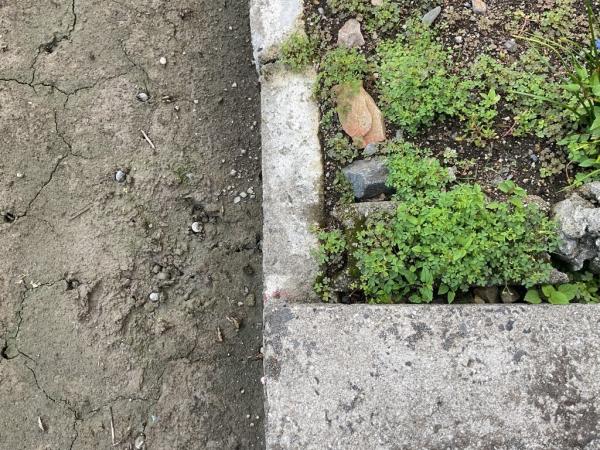 【不動産販売　愛媛総合】11377　土地　西条市石田 その他現地写真 