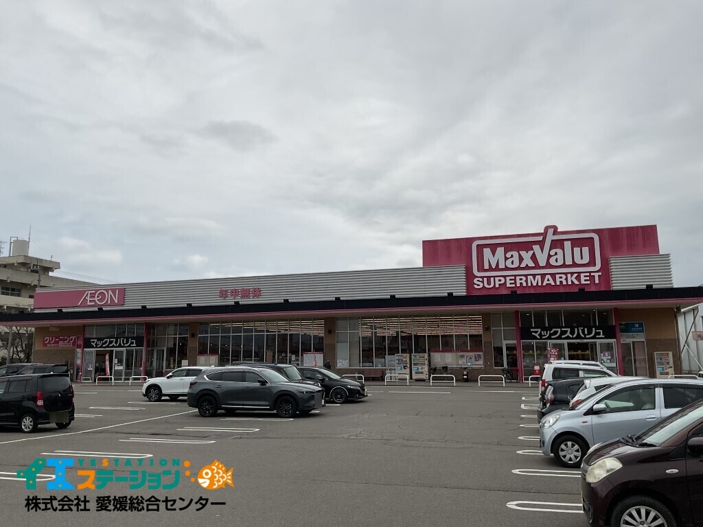 マックスバリュ 西の土居店