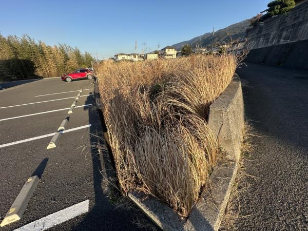 【不動産販売　愛媛総合】12153　土地　四国中央市中曽根町 現地土地写真 