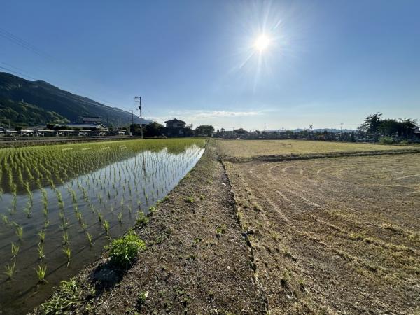 土地 新居浜市角野新田町２丁目 JR予讃線新居浜駅 80万円
