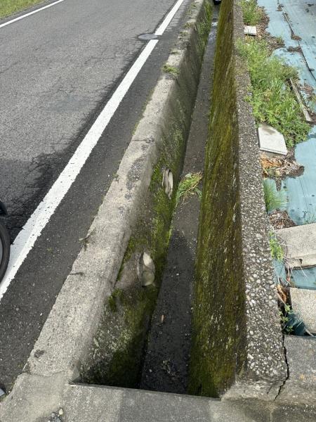 土地 四国中央市土居町北野 JR予讃線関川駅 140万円
