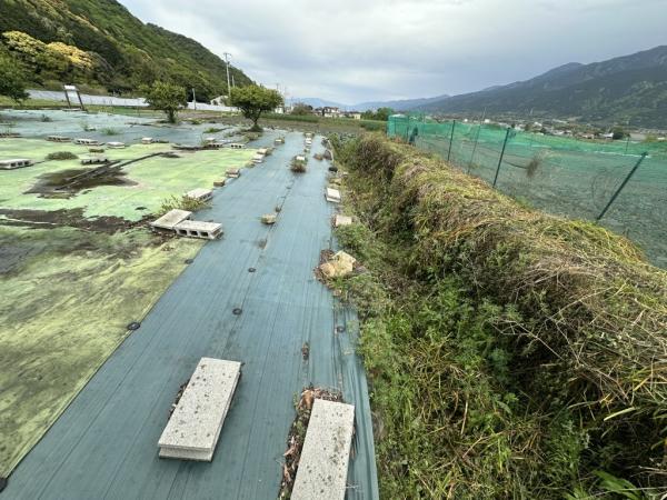 土地 四国中央市土居町北野 JR予讃線関川駅 140万円