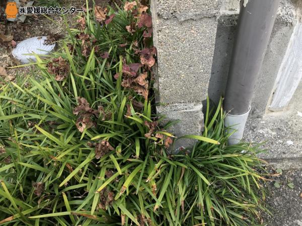 土地 愛媛県今治市別宮町８丁目 JR予讃線今治駅 300万円