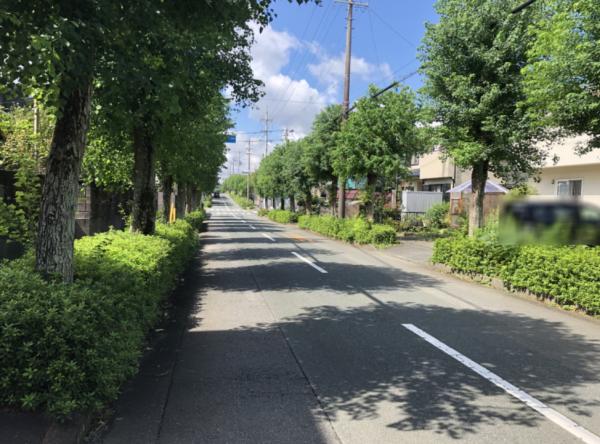  前面道路含む現地写真 