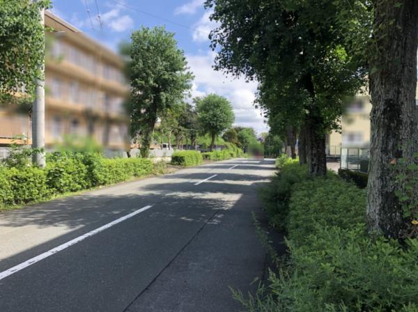  前面道路含む現地写真 
