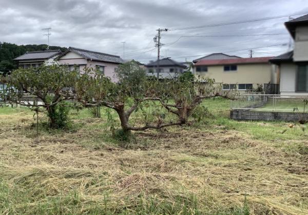 土地 掛川市西山 天竜浜名湖鉄道原谷駅 1,000万円
