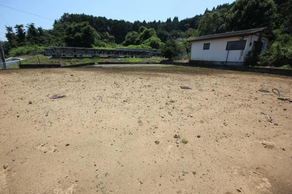 矢板市館ノ川　北東角地　建築条件なし 現地土地写真 