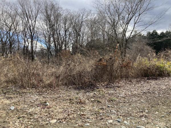 ◇那須塩原市無栗屋◇別荘地内の約60坪の土地 現地土地写真 
