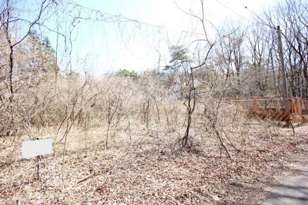 土地 那須塩原市接骨木452-36 JR東北本線(宇都宮線)西那須野駅 200万円