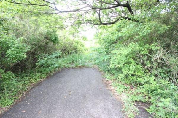 約90坪　那須塩原市青木（土地） 前面道路含む現地写真 