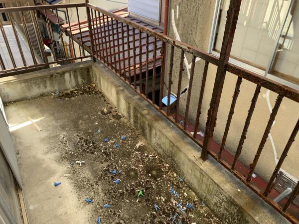 宇都宮市六道町　2階建て5K バルコニー 