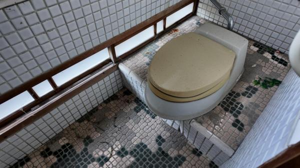 鹿沼市石橋町　2階建て4K　蔵付き【薬王寺まで徒歩1分】 トイレ 