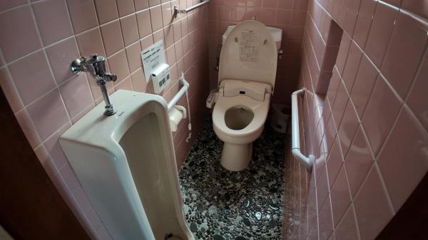 佐野市上台町　2階建て6K　駅近 トイレ 