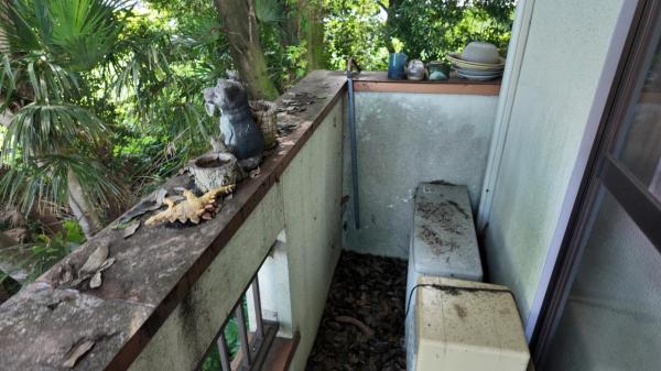 大田原市末広　2階建て3K バルコニー 