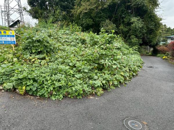 大田原市紫塚 　約55坪の土地 前面道路含む現地写真 