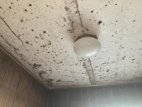 佐野市若宮下町　2階建て4K その他内観 