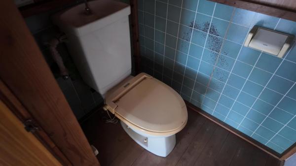 塩谷郡塩谷町大宮　2階建て6DK トイレ 