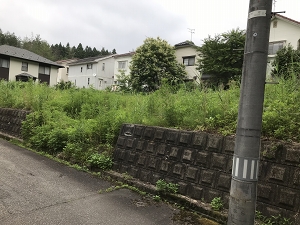 南蒲原郡田上町川船河 現地土地写真 