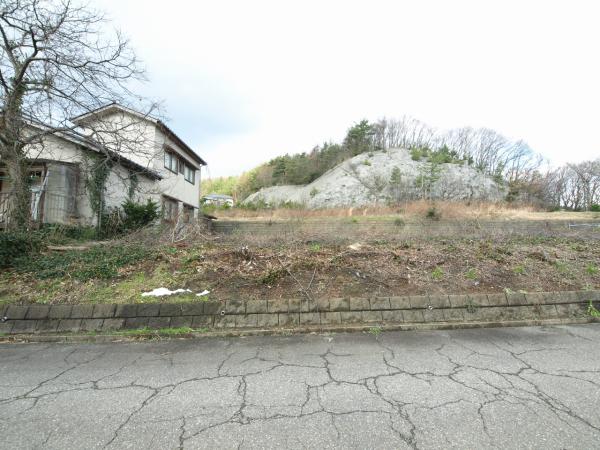 西蒲原郡弥彦村大字弥彦 その他現地写真 