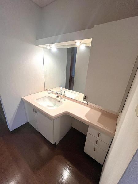 三条市西大崎1丁目 洗面台・洗面所 