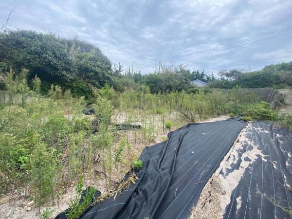 土地 南房総市白浜町根本1589-4 JR内房線館山駅 300万円