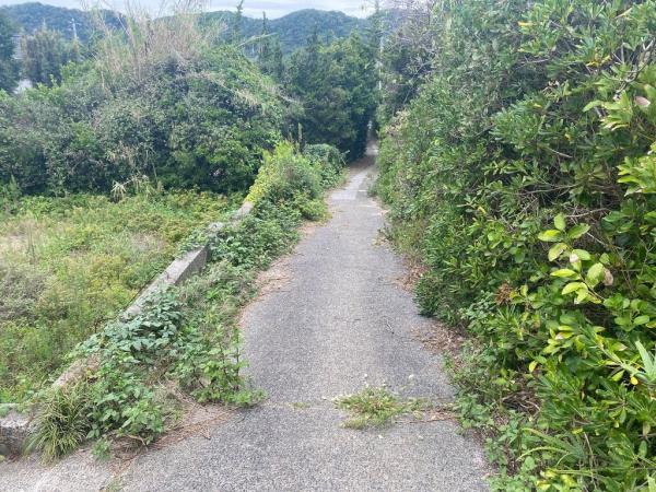 土地 南房総市白浜町根本1589-4 JR内房線館山駅 300万円