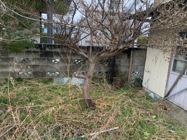 土地 館山市那古1466-1 JR内房線那古船形駅 650万円