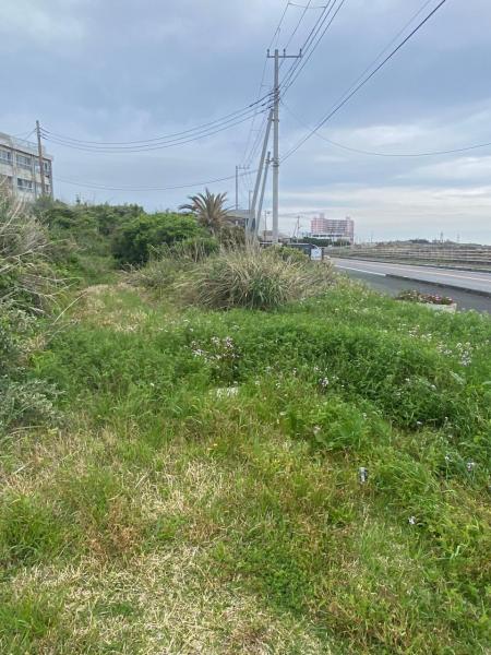 土地 南房総市白浜町滝口6473-1 JR内房線館山駅 5,200万円
