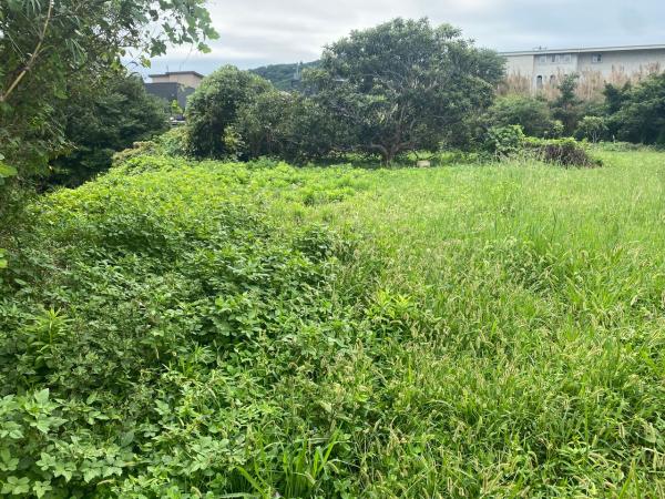 土地 館山市笠名1428 JR内房線館山駅 60万円