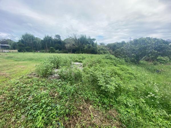 土地 館山市笠名1428 JR内房線館山駅 60万円