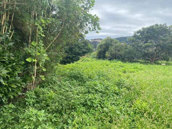 土地 館山市笠名1428 JR内房線館山駅 60万円