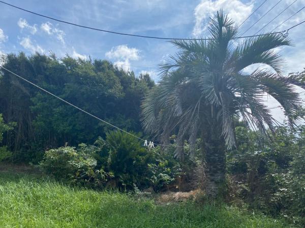 館山市犬石　平砂浦海岸まで歩いて6分、海近くのサーフィン拠点として 庭 