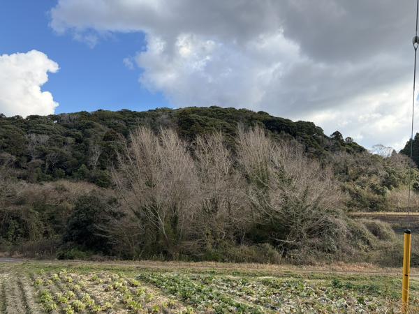 土地 館山市出野尾153 JR内房線館山駅 50万円