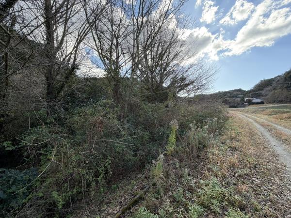 土地 館山市出野尾153 JR内房線館山駅 50万円