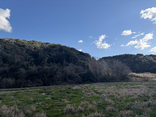 土地 館山市出野尾153 JR内房線館山駅 50万円