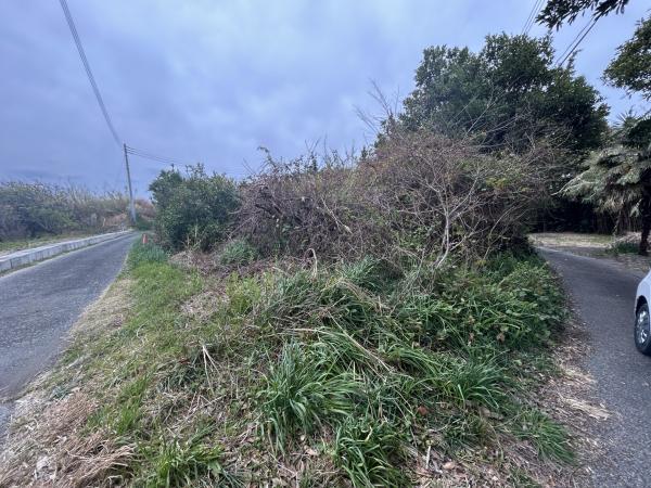 土地 南房総市白浜町滝口4474-1 JR内房線館山駅 130万円