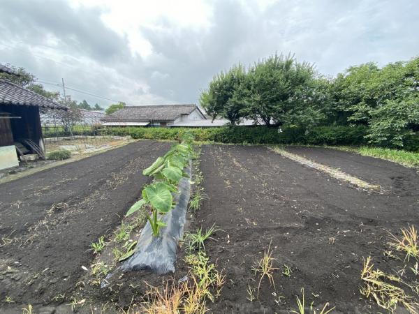 土地 小林市真方 JR吉都線小林駅 260万円